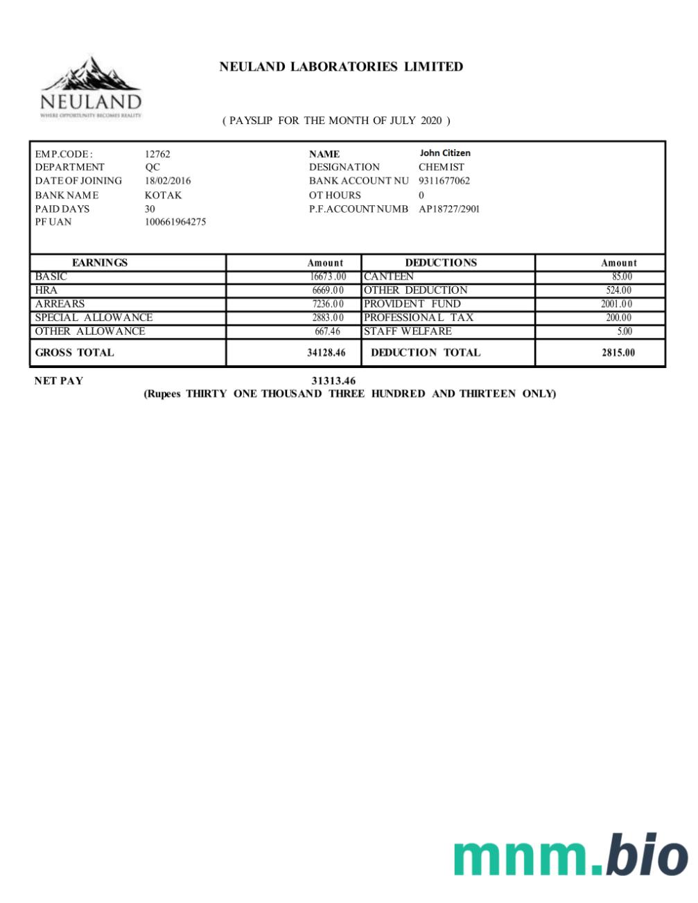Indie Neuland Laboratories Limited w formatach Word i PDF